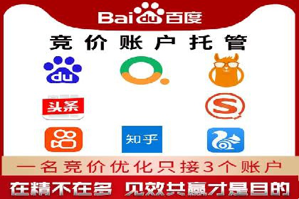 SEM代运营机构案例分析：优化策略与执行